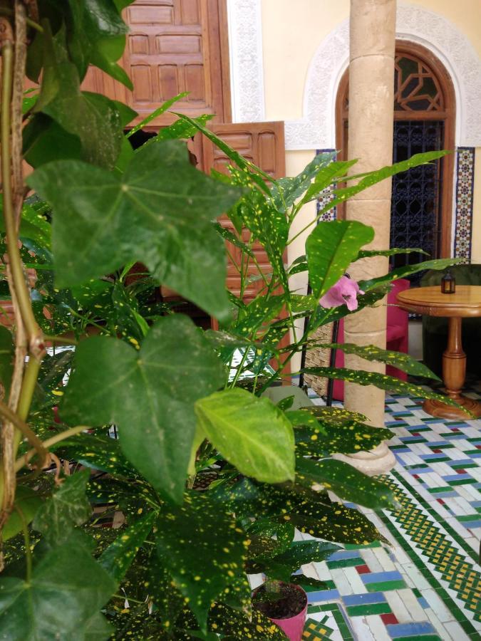 Riad Dar Zouhour Ραμπάτ Εξωτερικό φωτογραφία
