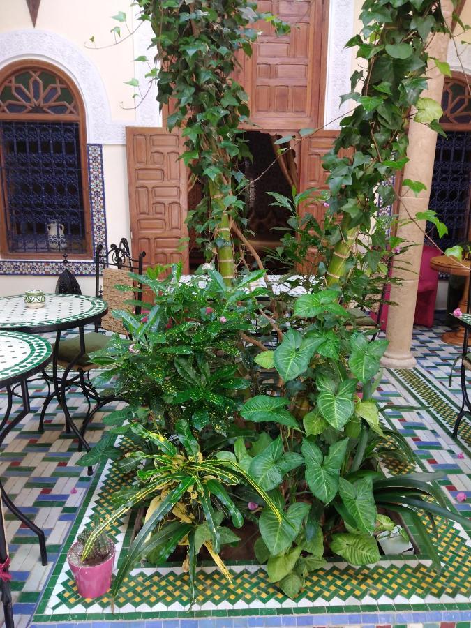 Riad Dar Zouhour Ραμπάτ Εξωτερικό φωτογραφία