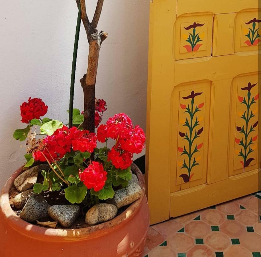 Riad Dar Zouhour Ραμπάτ Εξωτερικό φωτογραφία